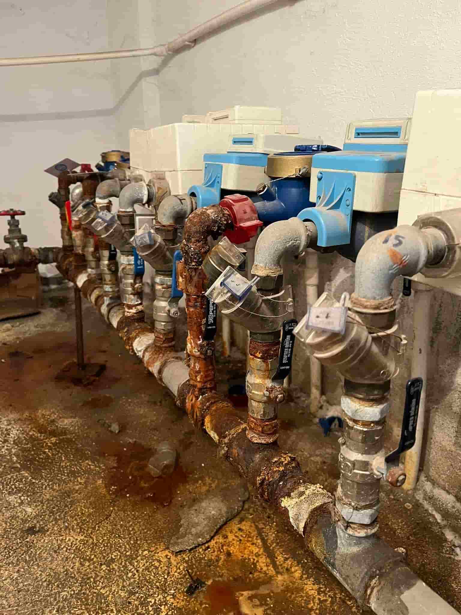 Servis sonrası test